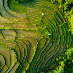 Book your flights, hotels and holiday packages to Indonesia