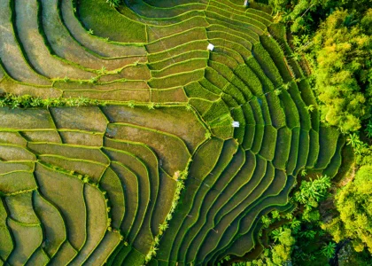 Book your flights, hotels and holiday packages to Indonesia