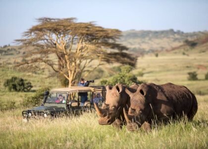 Book your flights, hotels and holiday packages to Kenya
