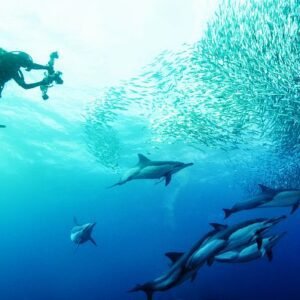 Book your flights, hotels and holiday packages to South Africa