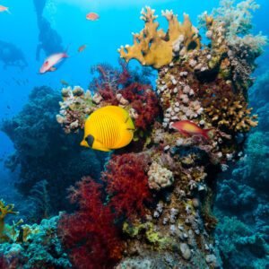 Book your flights, hotels and holiday packages to Egypt