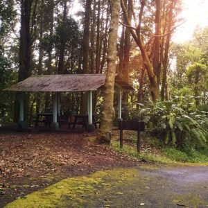 Book your flights, hotels and holiday packages to Costa Rica