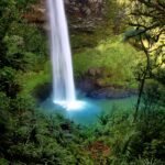 Book your flights, hotels and holiday packages to New Zealand