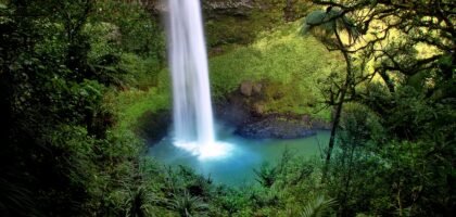 Book your flights, hotels and holiday packages to New Zealand