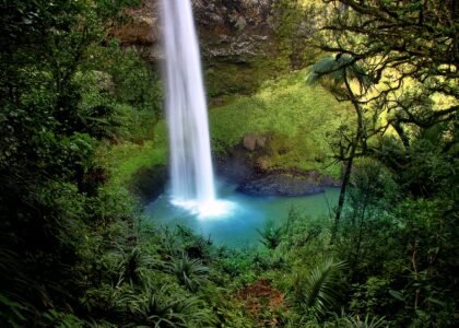 Book your flights, hotels and holiday packages to New Zealand