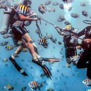 Book your flights, hotels and holiday packages to Dominican Republic