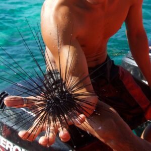 Book your flights, hotels and holiday packages to Philippines