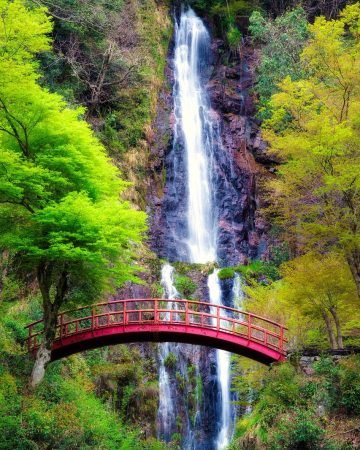 Book your flights, hotels and holiday packages to Japan