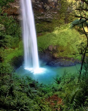 Book your flights, hotels and holiday packages to New Zealand